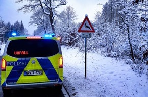 Polizei Paderborn: POL-PB: Bereits 32 Wildunfällen in den ersten elf Tagen des neuen Jahres - Polizei bittet um besondere Vorsicht