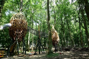 5 Gründe für Center Parcs Villages Nature Paris: Naturerlebnis trifft auf Großstadtflair