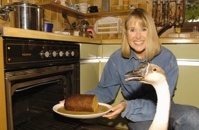 PETA Deutschland e.V.: "Gans gesund und munter" / PETA: Martinstag sollte zum Tag der Gänseamnestie werden / Aufnahmen aus deutschem Gänsemastbetrieb verursachen "Gänsehaut"