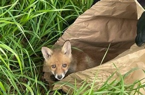 Polizei Bochum: POL-BO: Kleiner Fuchs, großes Abenteuer!