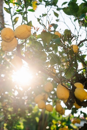 Pfingsten in Kalabrien | Attraktive Angebote für Familien an der "Stiefelspitze" Italiens