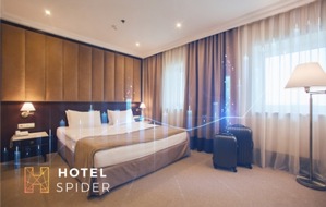 Hotel-Spider: Belegungsabhängige Zimmerpreise: Was sie sind und warum sie wichtig sind