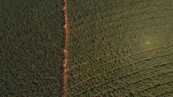 Faber-Castell: Faber-Castell significantly lowers corporate carbon footprint