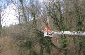 Feuerwehr Iserlohn: FW-MK: Gefahrenbaum an der Untergrüner Straße