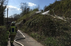 Freiwillige Feuerwehr der Stadt Lohmar: FW-Lohmar: Flächenbrand im Wahlscheider Wald