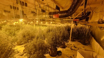 POL-GÖ: (135/2025) Zwei weitere Indoor-Plantagen im Altkreis Osterode entdeckt - Über 2.000 Pflanzen und umfangreiche Anbautechnik beschlagnahmt, 56-Jähriger festgenommen, Ermittlungskommission eingerichtet