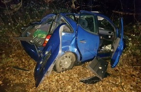 Feuerwehr Mülheim an der Ruhr: FW-MH: Sturmtief Sabine. Baum stürzt auf Auto. Zwei verletzte Personen