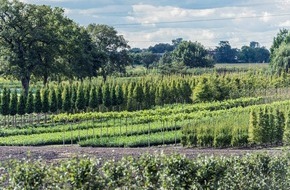 Bund deutscher Baumschulen (BdB) e.V.: BdB mahnt Coronahilfen an und fordert Perspektive für den Pflanzenverkauf