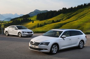 SKODA blickt in Deutschland auf ein sehr erfolgreiches Autojahr zurück (FOTO)