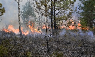 FW Lüchow-Dannenberg: +++1 ha Heidefläche in Brand gesetzt+++wichtige Erkenntnisse zur Waldbrandbekämpfung gewonnen+++Landschaftsplege, Forschung und Brandschutz arbeiten Hand in Hand+++