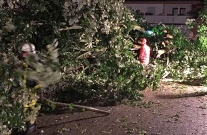 Feuerwehr Gelsenkirchen: FW-GE: Unwetter über NRW - Gelsenkirchen blieb weitestgehend verschont