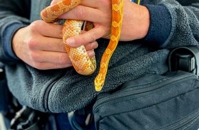 Polizeipräsidium Mittelhessen - Pressestelle Wetterau: POL-WE: Nicht alltäglicher, tierischer Einsatz der Polizei in Friedberg + Diebstahl aus Auto in Butzbach