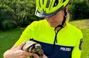 Polizei Lippe: POL-LIP: Schieder-Schwalenberg. Abenteuerlustige Schildkröte am Schiedersee aufgegriffen.
