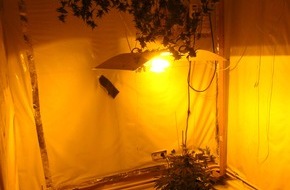 Polizeiinspektion Northeim: POL-NOM: Cannabisplantage sichergestellt