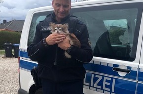 Bundespolizeiinspektion Flensburg: BPOL-FL: Entlaufener Hund an den Bahngleisen - Erfolgreiche Familienzusammenführung
