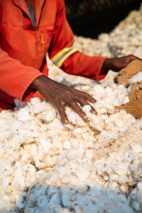 Carbon Credits: Aid by Trade Foundation, International Cotton Advisory Committee und bizpando starten Kooperation