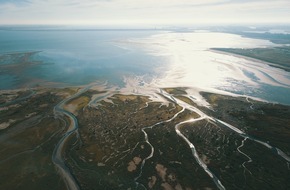 Niederländisches Büro für Tourismus & Convention (NBTC): Niederländische Nationalparks / Tipps für den Herbst: Neuer Vogelboulevard, 11-Strände-Tour und Wattwanderung