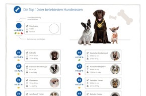 CHECK24 GmbH: Beliebteste Hunderassen 2018: Labrador auf Platz eins - Dackel erlebt Revival