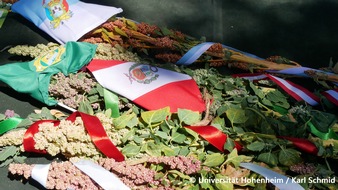 Universität Hohenheim: Neue klimaresiliente Quinoa-Sorten für peruanisches Hochland