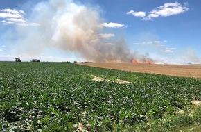 Polizeidirektion Landau: POL-PDLD: Rülzheim - Brand einer landwirtschaftlichen Fläche