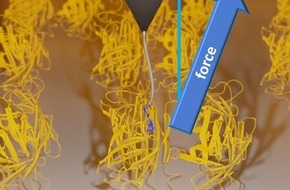 Albert-Ludwigs-Universität Freiburg: Neue Reibungsart in Ligand-Protein-Systemen entdeckt