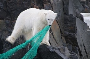 comfilm.de Silke Schranz und Christian Wüstenberg GbR: Die Tiere der Arktis verrecken elendig am Plastikmüll