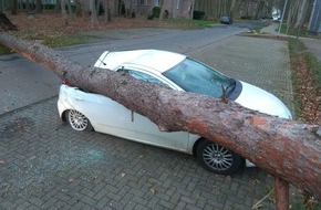 Freiwillige Feuerwehr Bedburg-Hau: FW-KLE: Baum kracht im Sturm auf Autodach
