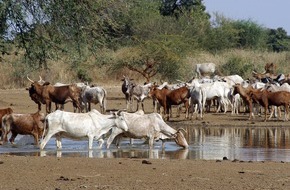 Messe Berlin GmbH: Global Forum for Food and Agriculture 2018: "Die Zukunft der tierischen Erzeugung gestalten - nachhaltig, verantwortungsbewusst, leistungsfähig"