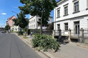 Feuerwehr Dresden: FW Dresden: Sturmlage führt zu mehreren Feuerwehreinsätzen