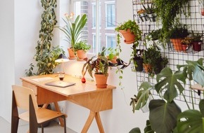 Blumenbüro: Entspanntes Arbeiten im Homeoffice dank Zimmerpflanzen / Ideen für einen inspirierenden Arbeitsplatz