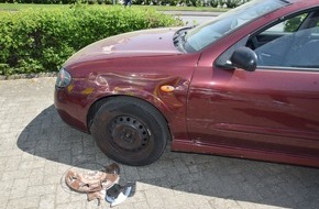 Kreispolizeibehörde Herford: POL-HF: Unfallflucht im Kreuzungsbereich- Nissan beim Abbiegen beschädigt