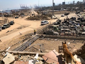 @fire-Rettungsteam kehrt von Einsatz in Beirut zurück