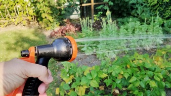 Bund der Steuerzahler Nordrhein-Westfalen e.V.: BdSt-Tipp für heiße Tage: Wasseruhr für den Garten spart Geld