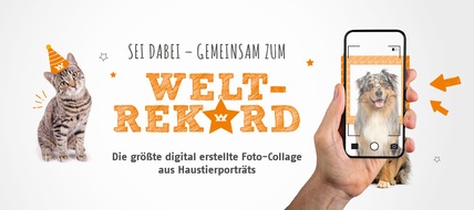 Vet-Concept GmbH & Co. KG: Haustierliebe sprengt alle Rekorde - Vet-Concept ruft zum großen Haustier-Fotoprojekt auf