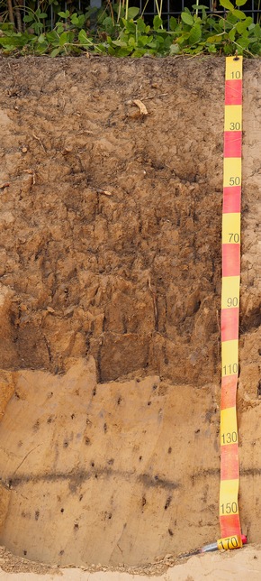 Hessen übernimmt Schirmherrschaft für den Archivboden – Boden des Jahres 2026