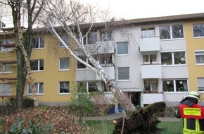 Feuerwehr und Rettungsdienst Bonn: FW-BN: TH 2 Sturmschaden - Baum auf Wohngebäude