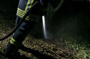 Feuerwehr Detmold: FW-DT: Feuer im Wald