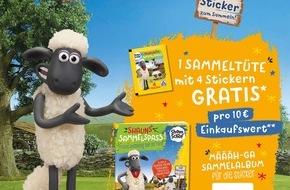 ALDI: Fußball-EM 2021: Echte Volltreffer bei ALDI