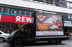 Albert Schweitzer Stiftung für unsere Mitwelt: Termin: Protest vor Rewe-Sitz in Teltow "Rewe-Qualfleisch? Ohne mich!" am 20. Mai, 11 Uhr