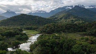 Regenwald in Brasilien nachhaltig wiederherstellen