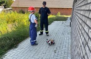 Freiwillige Feuerwehr Südheide: FW Südheide: Feuerwehrnachwuchs der Gemeinde Südheide erhält Jugendflamme Stufe 1