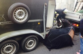 Feuerwehr Essen: FW-E: Pferd verletzt sich bei Sturz aus fahrendem Anhänger, Tunnel auf der Schützenbahn für 2 Stunden voll gesperrt