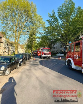 FW-RE: Wohnungsbrand in voller Ausdehnung - zwei Katzen aus der Wohnung gerettet - keine Personen verletzt