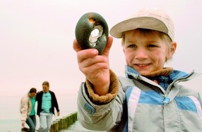 Tourismusverband Mecklenburg-Vorpommern: Mecklenburg-Vorpommern profiliert sich als ideales Familienreiseziel / Mecklenburg-Vorpommern unterstreicht Spitzenposition mit erstem eigenen Familienreisekatalog