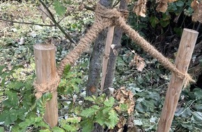 Landesgartenschau Neuss 2026: Prüfung des Baumbestands – Eichensplintkäfer bei einzelnen Bäumen festgestellt