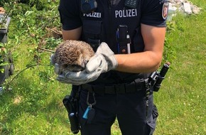 Polizeidirektion Lübeck: POL-HL: HL-Schlutup / Die Igelretter - ein Freund und Helfer-Einsatz