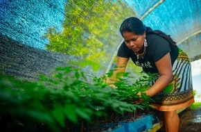 The Generation Forest eG: Wenn Aufforstung schadet – und wie sie nützt