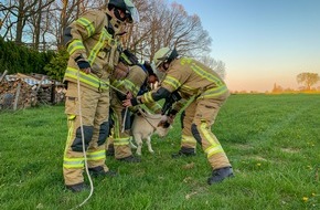 Freiwillige Feuerwehr Menden: FW Menden: Waldbrand in Ostsümmern