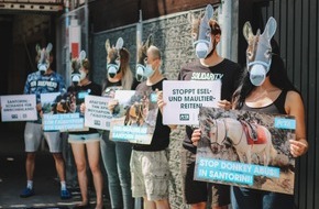 PETA Deutschland e.V.: Bildmaterial von weltweiten PETA-Appellen an die griechische Regierung: Esel- und Maultierreiten auf Santorini muss verboten werden!