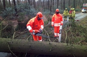 Feuerwehr Stolberg: FW-Stolberg: Stürmischer Samstagnachmittag